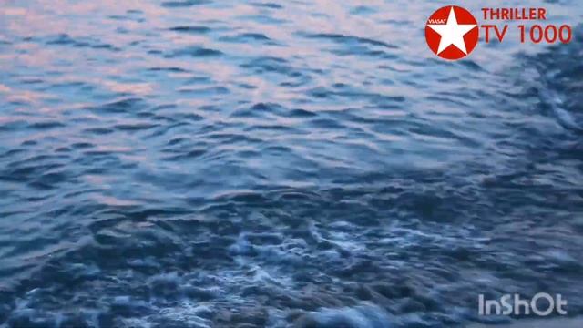 TV 1000 FILMS GENRES CHANNELS IDENT 29/4/2014--8/12/2021