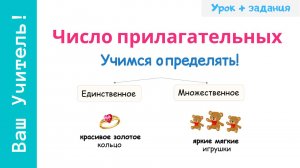 Единственное и множественное число прилагательных. Как определить число имен прилагательных?