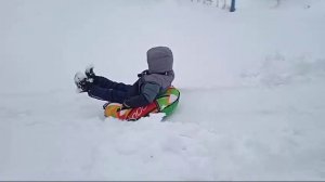 Зимняя прогулка