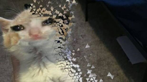 тест приствки