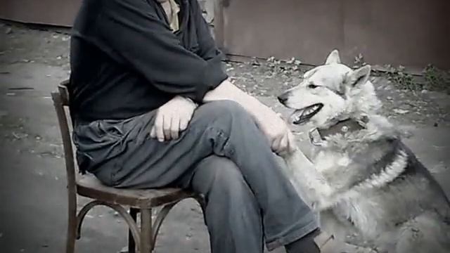 Шарик я как и ты был без цепи смотреть онлайн