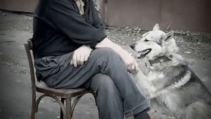 Шарик я как и ты был без цепи