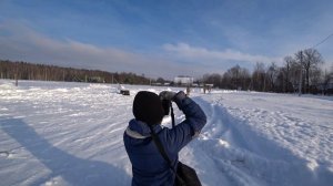 Необычная история рождения жеребенка.