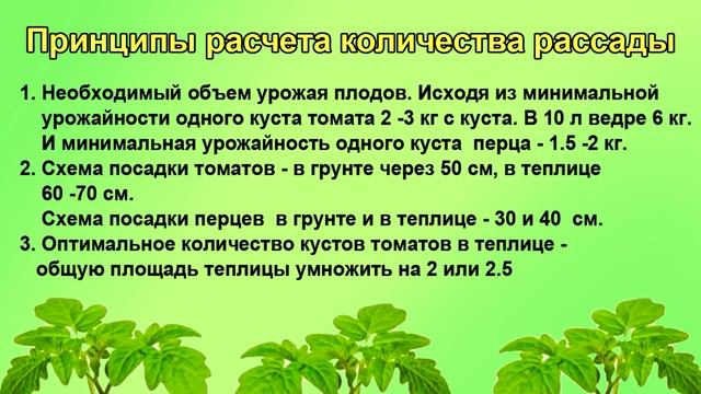 Сколько рассады надо. Какие сорта.  Шпаргалка 1