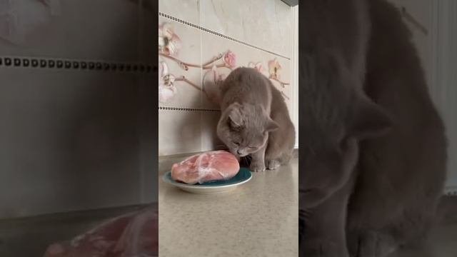 Порежьте, кожаные!