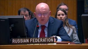 Statement by PR Vassily Nebenzia at a UNSC Briefing on the Situation in the Middle East