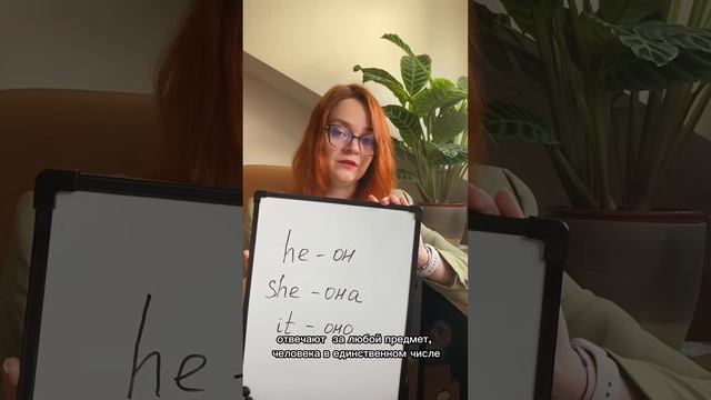 Местоимения в английском языке. Единственное число.