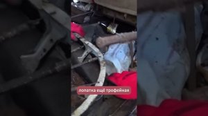 TG: nexpertGM  КАК ЭТО ОТКРЫТЬ! #shorts #оживление #automobile #юмор