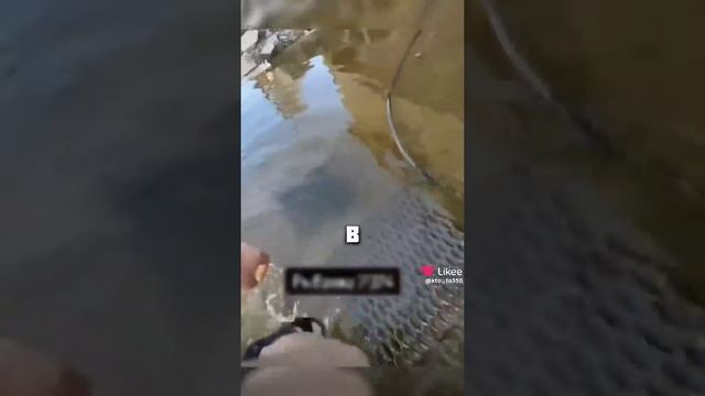 #рекомендации #история