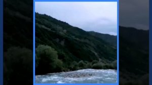 Овози Булбул бо садои най дар Кухистони водии Каротегин. 👍 ✍️ ☝️ ☝️ 25 июли соли 2021.