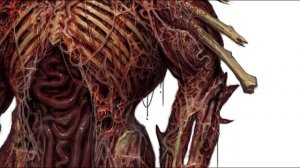 Типизация нежити - Низшая нежить | Часть 2