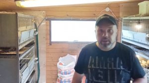 КОРМА ДЛЯ БРОЙЛЕРОВ. Часть 1 - Старт.