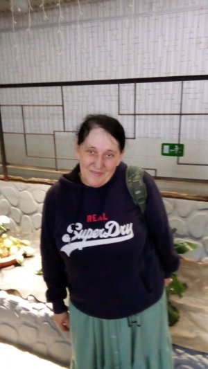 рисунок