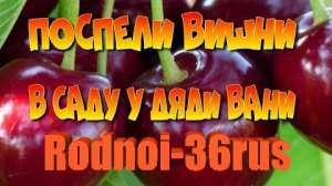 "Поспели вишни в саду у д.Вани"