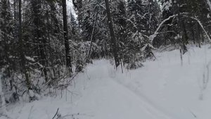 Сноубайк кубена sport на 174mn моторе