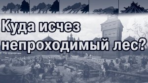 Доказательство катастрофы 19 века-7. Лес