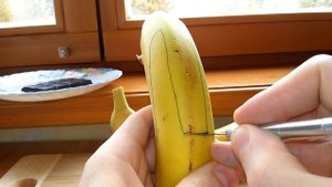 Собака из Банана для Желейного Медведя Макса и Тимона