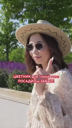 🌸5 многолетников, которые растут сами по себе