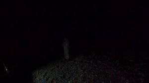 Рыбалка на Томи Нижняя Терсь ловим окуней и лещей. С костяном.