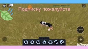как найти цветок в львиная гордость?