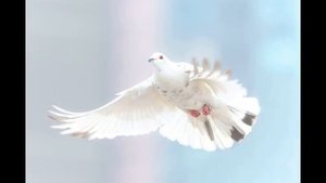 ДУХ ГОСПОДЕНЬ НА МНЕ, ИБО ОН ПОМАЗАЛ МЕНЯ БЛАГОВЕСТВОВАТЬ ПО ЗЕМЛЕ И ПЛЕНЁННЫХ ОСВОБОЖДАТЬ! АМЭН.