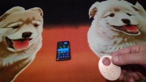 Блютуз кнопка для дистанционного управления фото и видео с телефона.