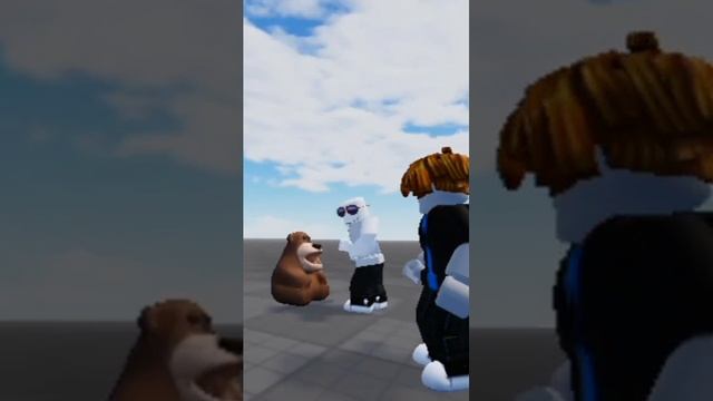 o holero choto Freddy fazber