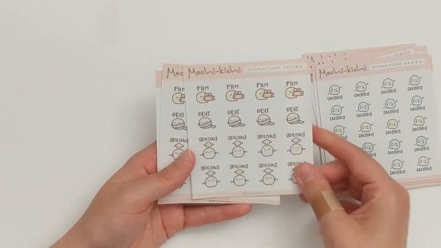 Chatty Planner Haul | Stickers and Die Cuts