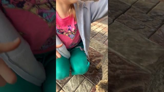 Ой #tiktok #funny #trending #dance #рек #baby #music #love #share #shorts #short