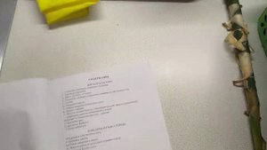 Купили Автоклав. Вятка.