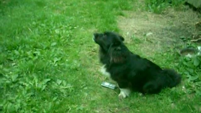 Изображение январь 025.avi ТОПА певец смотреть онлайн