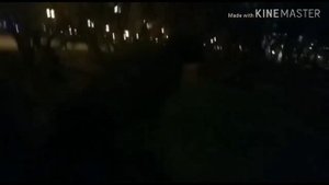 Дикий парк (архивная рубрика 2019 г.)