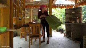 Harvesting ripe bananas and processing them into cakes to sell at the market | Trieu Mai Huong