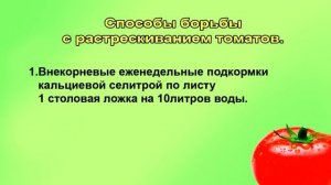 Трещины на томатах.Основная причина. ШПАРГАЛКА 33