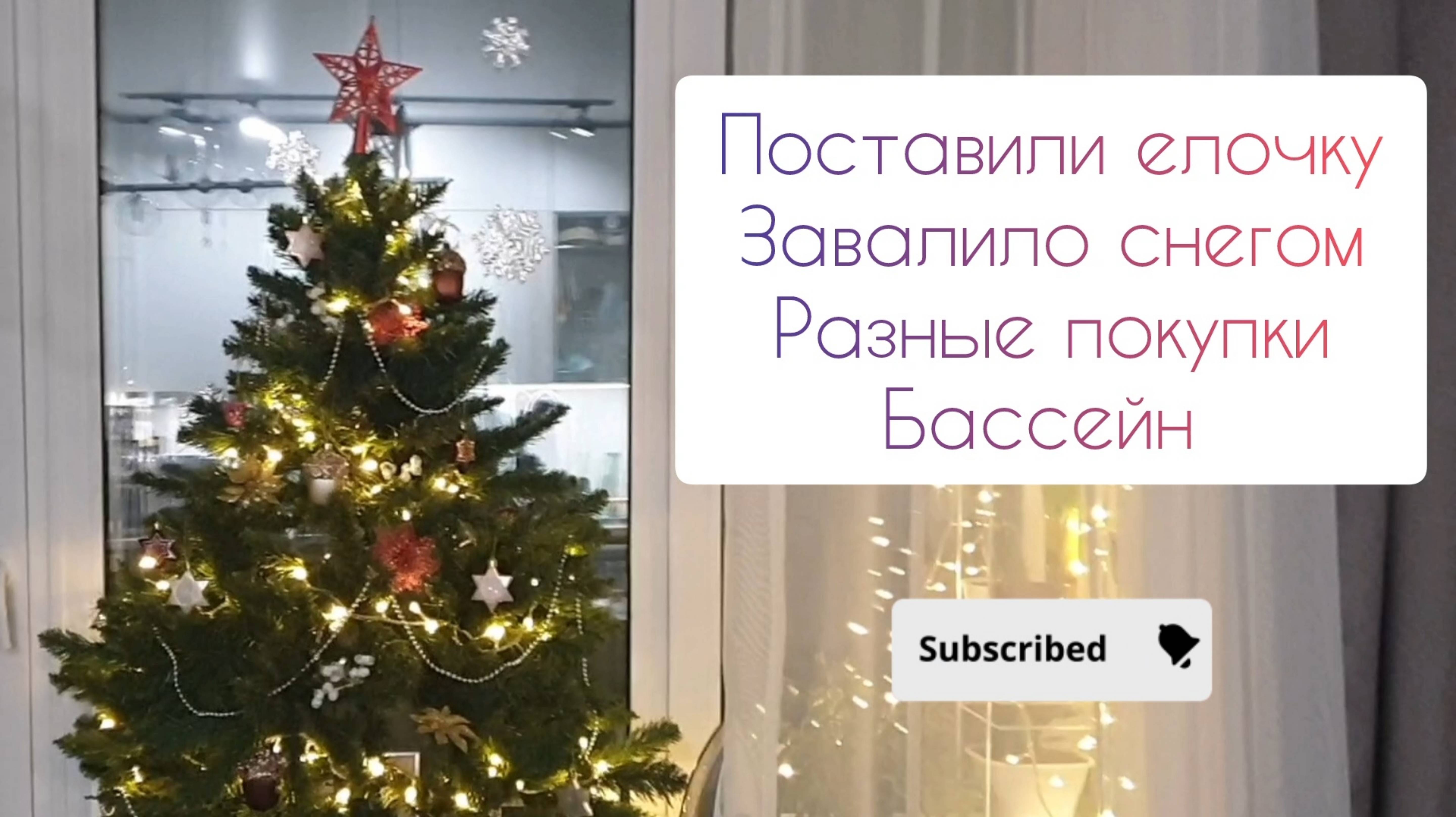 Готовимся к Новому году, поставили ёлочку, разные покупки,  завалило снегом