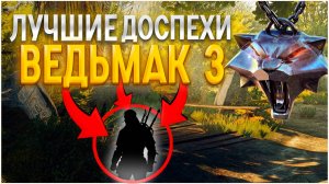 ГДЕ НАЙТИ ДОСПЕХИ ШКОЛЫ КОТА? ГРОССМЕЙСТЕРСКИЙ ДОСПЕХ ШКОЛЫ КОТА ► The Witcher 3: Wild Hunt