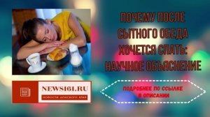 Почему после сытного обеда хочется спать