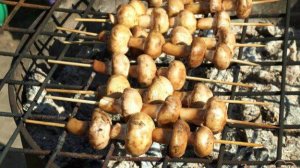 Шампиньоны на шпажках на мангале