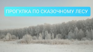 Прогулка по сказочному лесу