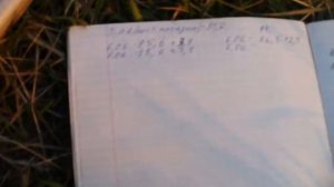 Привесы на контрольных ульях.