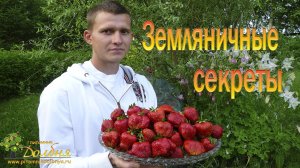 Земляничные секреты