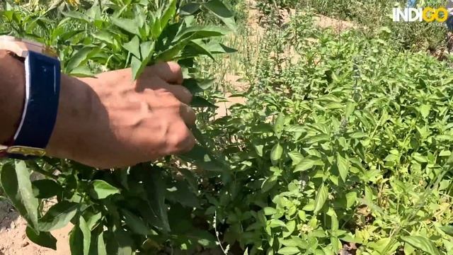 Iran Village Life | Village Life in Iran