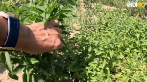 Iran Village Life | Village Life in Iran