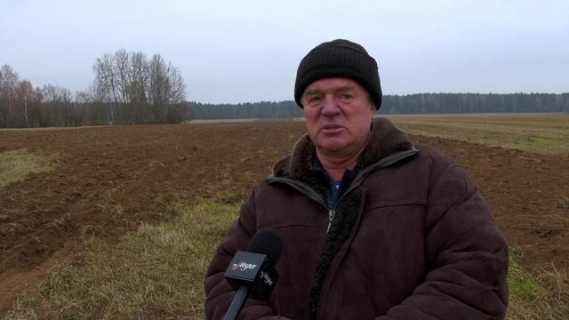 На полях сельхозпредприятия «Ваверка-агро» полным ходом идёт зяблевая обработка почвы