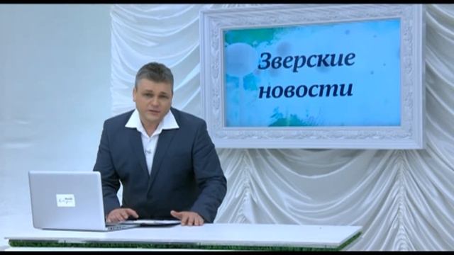 Енот Семен. Зверские новости Xayc.TV №12