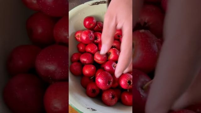Боярышник в сахаре Время ужина. Южная Корея. (Юмор)
