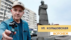 Воронеж ул. Кольцовская 03.01.25г