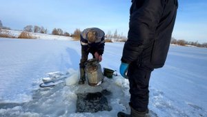 СОТНКИ КГ КАРАСЯ ГИБНУТ В ЭТОМ ПРУДУ! ВЫВОЗИМ ПО НЕ МНОГУ !