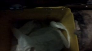 ящик для зимней рыбалки из канистры