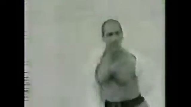 CM R33 NISSAN SKYLINE 明日スポーティーに生きる2D смотреть онлайн